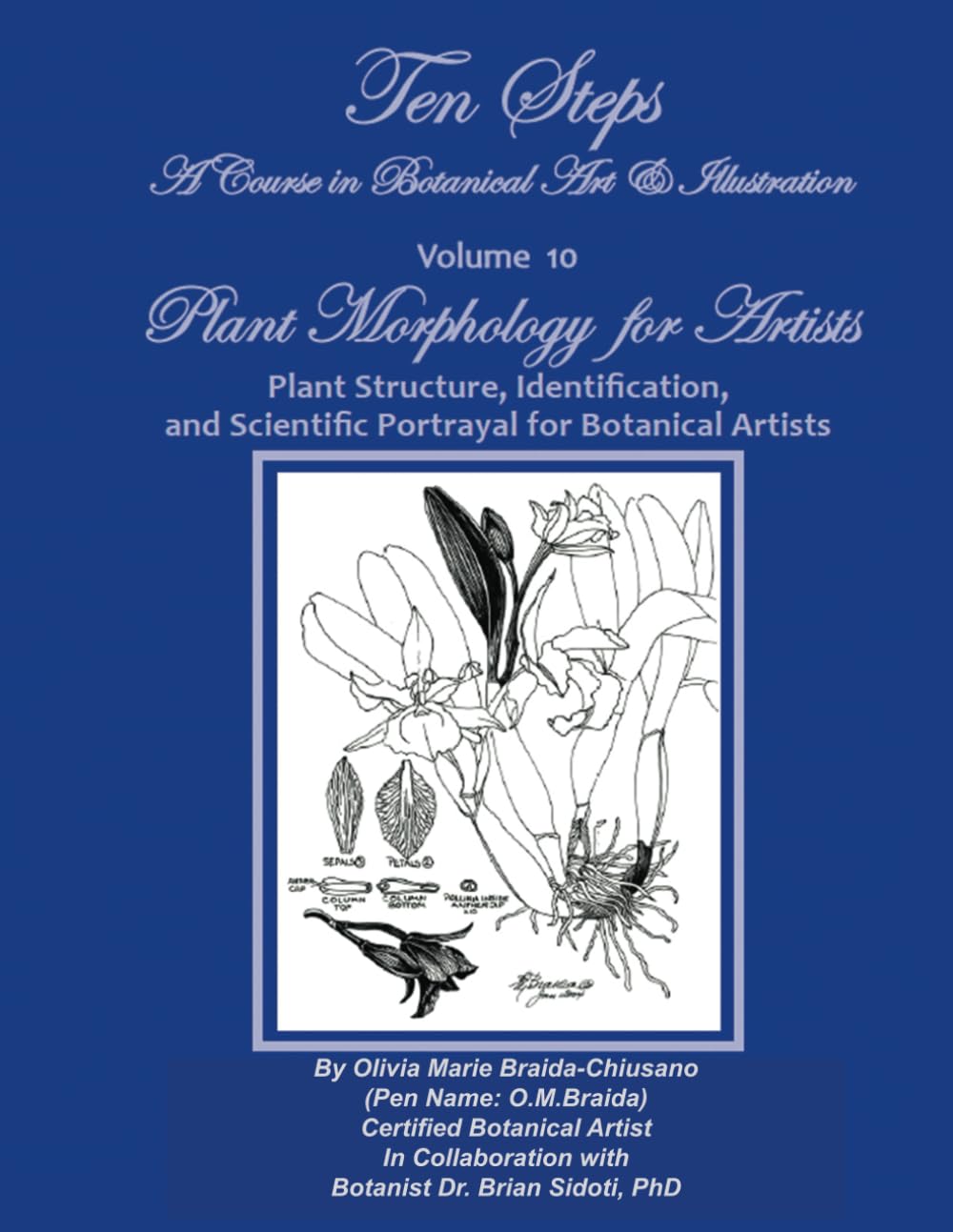 Ten Steps - A Course in Botanical Art & Illustration - Volume 10: Plant Morphology for Artists Plant Structure, Identification, and Scientific ... & Illustration - Volume 1-12, 17, and 18)