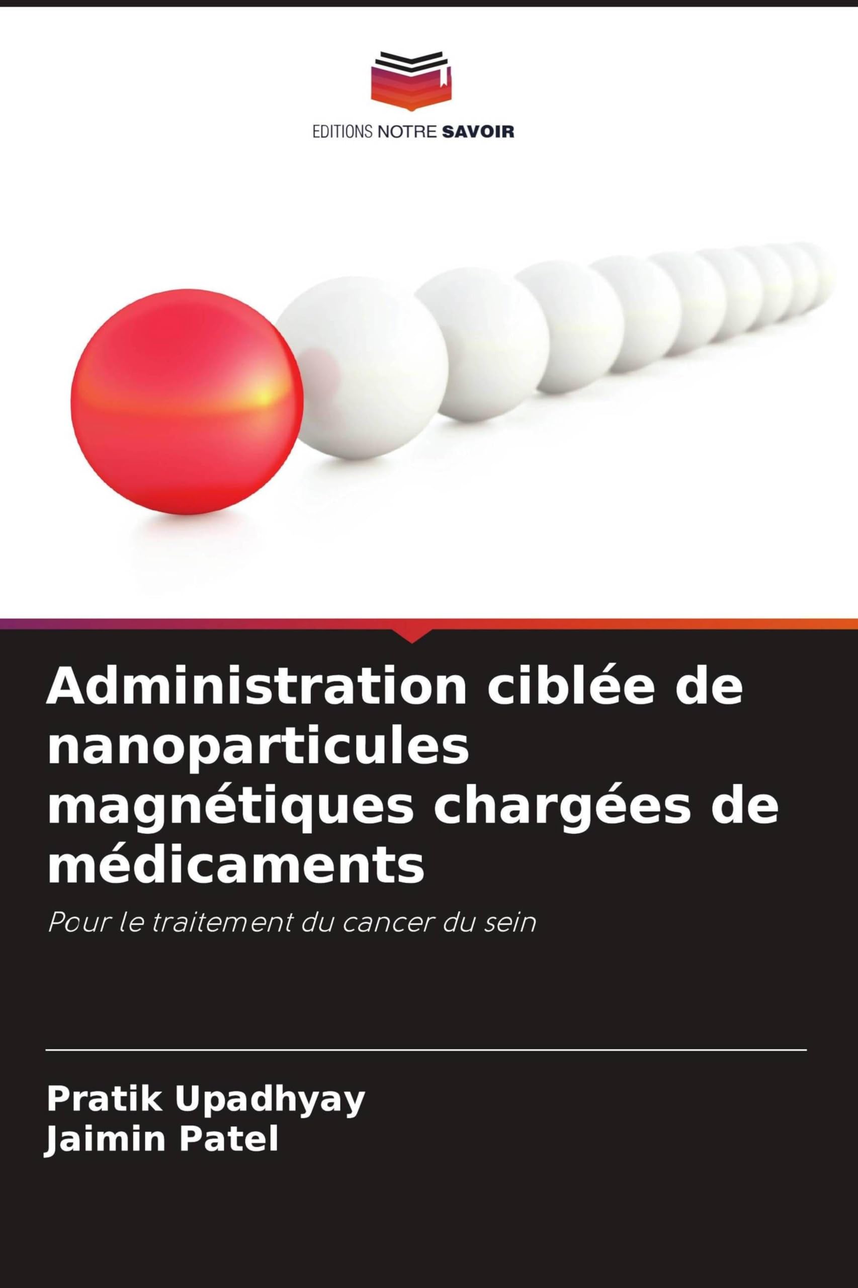 Administration ciblée de nanoparticules magnétiques chargées de médicaments: Pour le traitement du cancer du sein