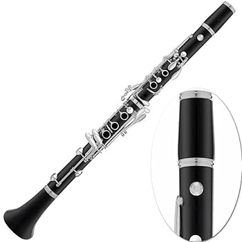 Professional Ebony Body Bb Saxophone Clarinet 17 Silver