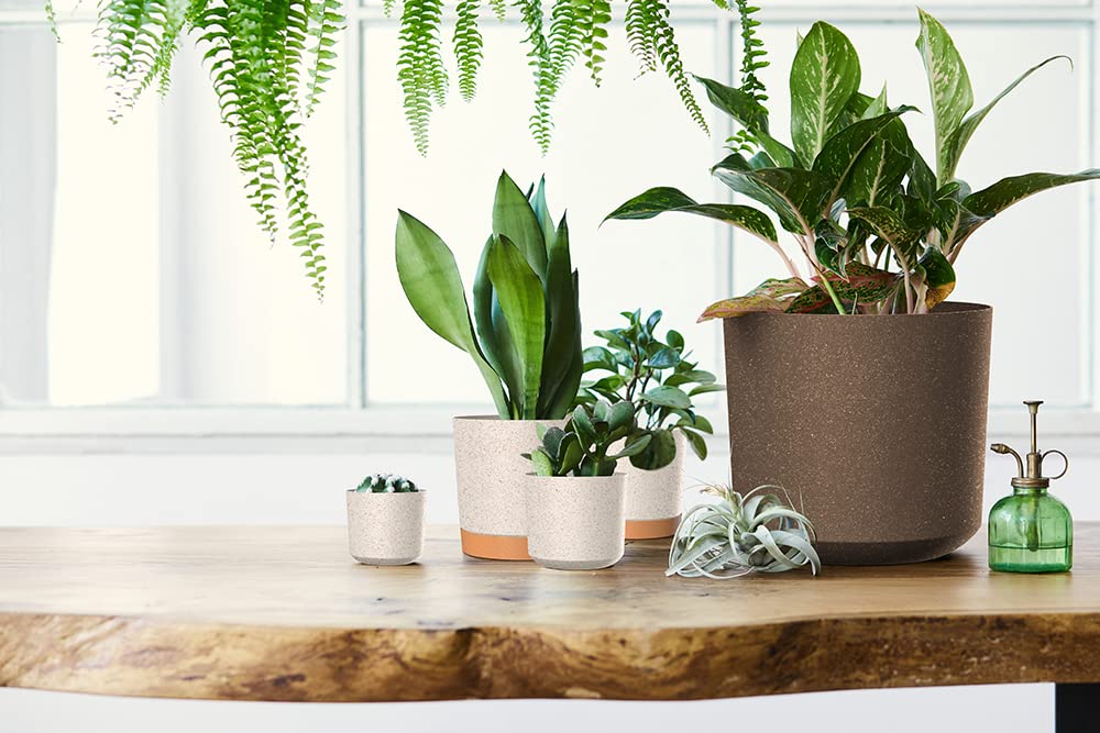 Tymar Pot de Fleur avec Soucoupe, Lot de 2 Pots de Plantes décoratifs en Plastique, Forme Ronde Moderne pour l'intérieur (ø 40 cm, (2pack) LI Vert)