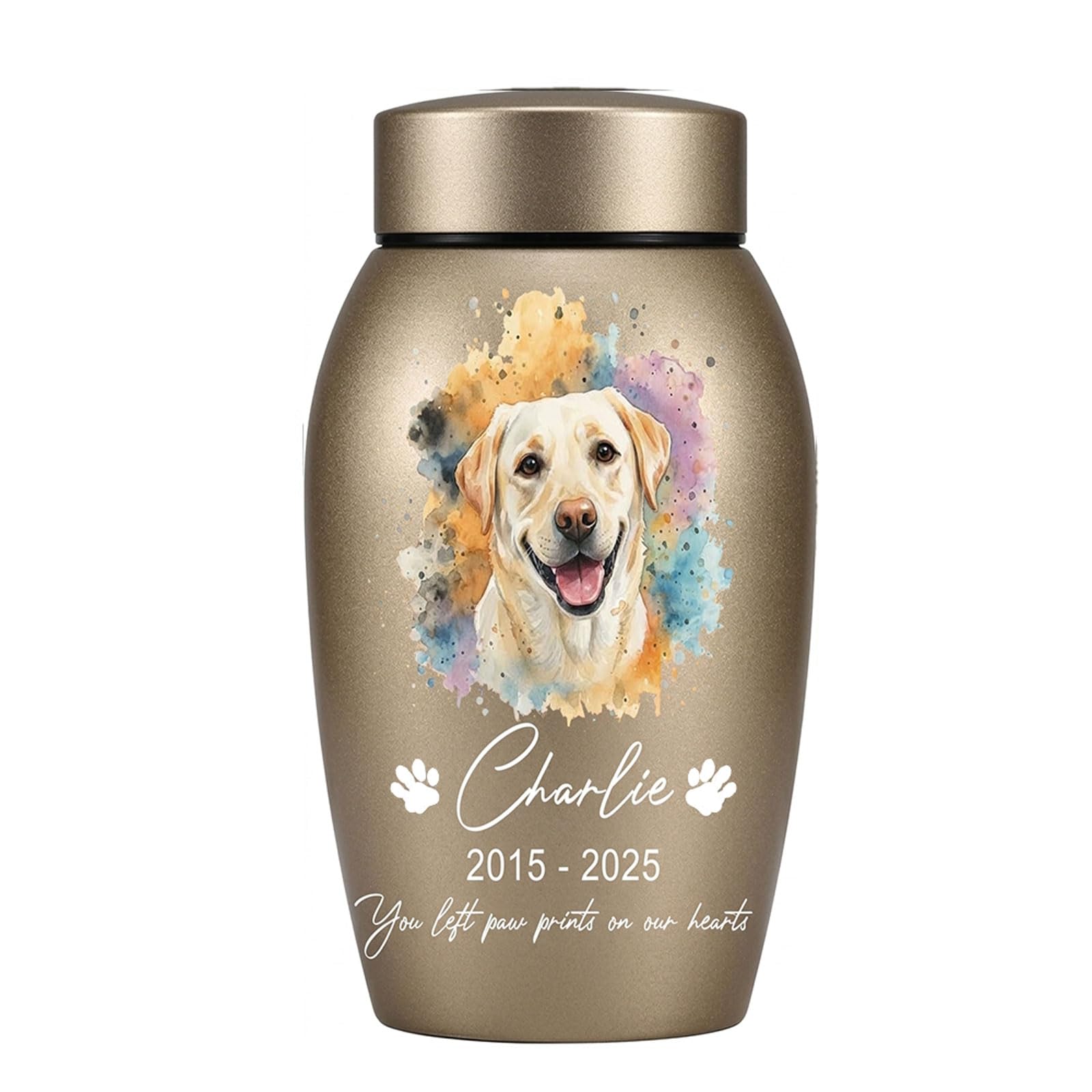 Custom Dog and Cat Urns for Ashes, Personalised Titanium Steel Cremation Urn, Pet Urn with Name and Photo for Pet Memorial Keepsake Pet (Style 5)