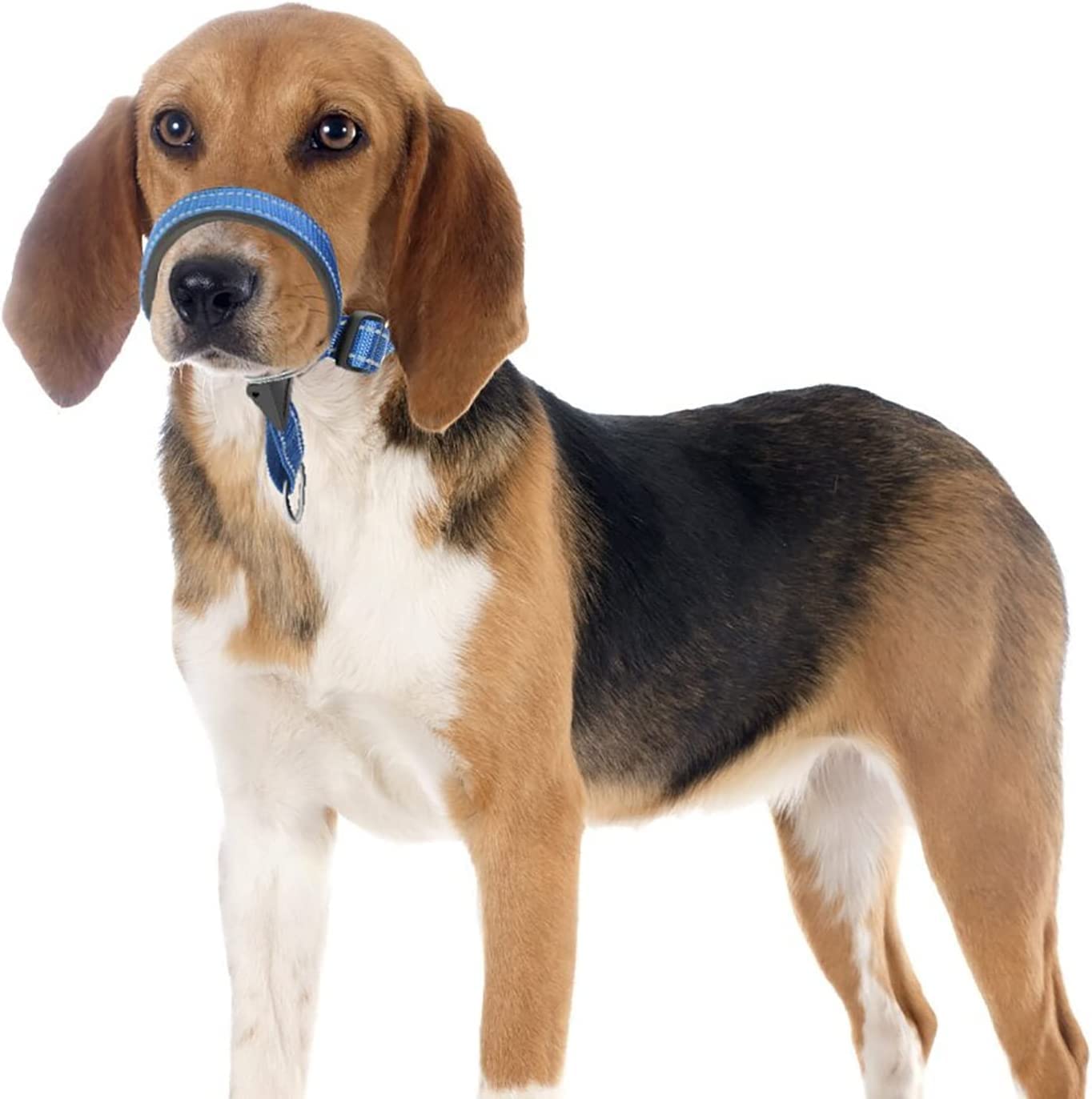 Dog Head Collar,No-Pull Dog Collar,Durable Training Dog Collar,Head Halter Collar for Dog,Stops Heavy Pulling and Easy Control on Walks,Adjustable(3 Color/4 Sizes) (S,Blue)