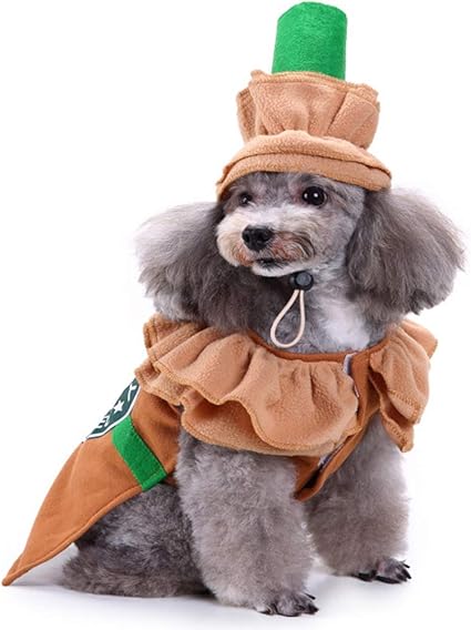 small dog accessories amazon