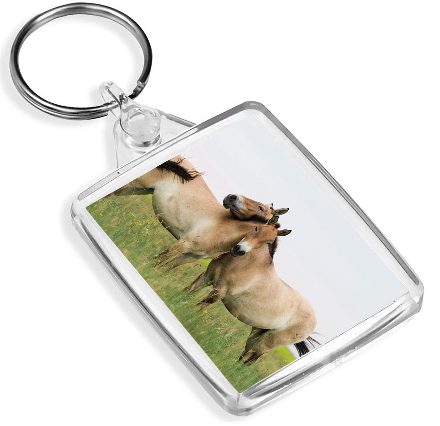 Destination Vinyl Keyrings Unisex Kids Multi 1 X Przewalski's Horses Riding Pet - Keyring - Ip02 - Mum Kids #3584