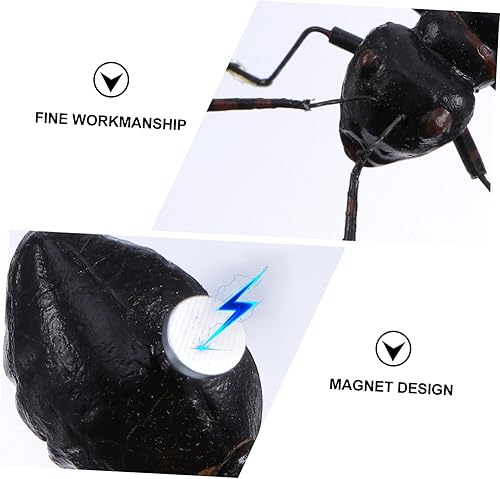 Miniatura 7 de Imanes de nevera de hormigas, 8 unidades, imanes de nevera, imanes de pizarra blanca, imanes de cocina para refrigerador 3D, imán de oficina, imán