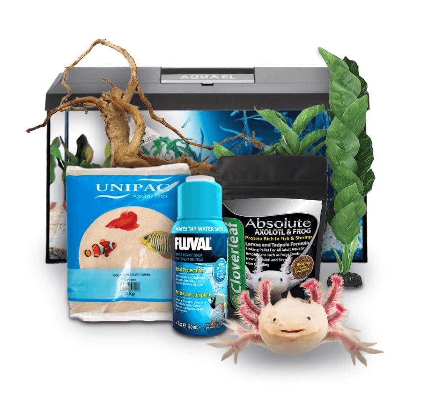 Sponsored Ad – Swell Reptiles Axolotl Juvenile Starter Kit (Black)