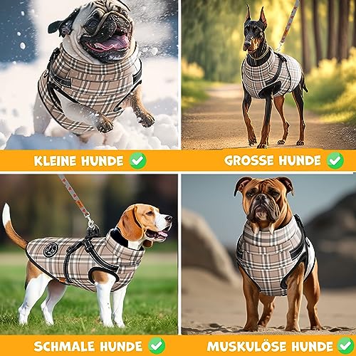 LOVPET® Hundejacke Hundemantel mit Geschirr, inkl. 45 Stück Kotbeutel + Spender, Hunde Winterweste gefüttert wasserdicht, Gepolsterte Weste Mit Brustgurt, Reflektoren, D-Ring XL, Beige