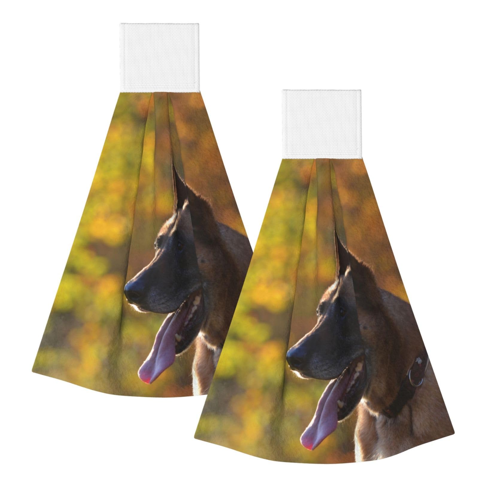 DOPKLNA Malinois, 2 Pcs Hanging Coral Fiber Hand Towels for Bathroom, Absorbent Kitchen Towels