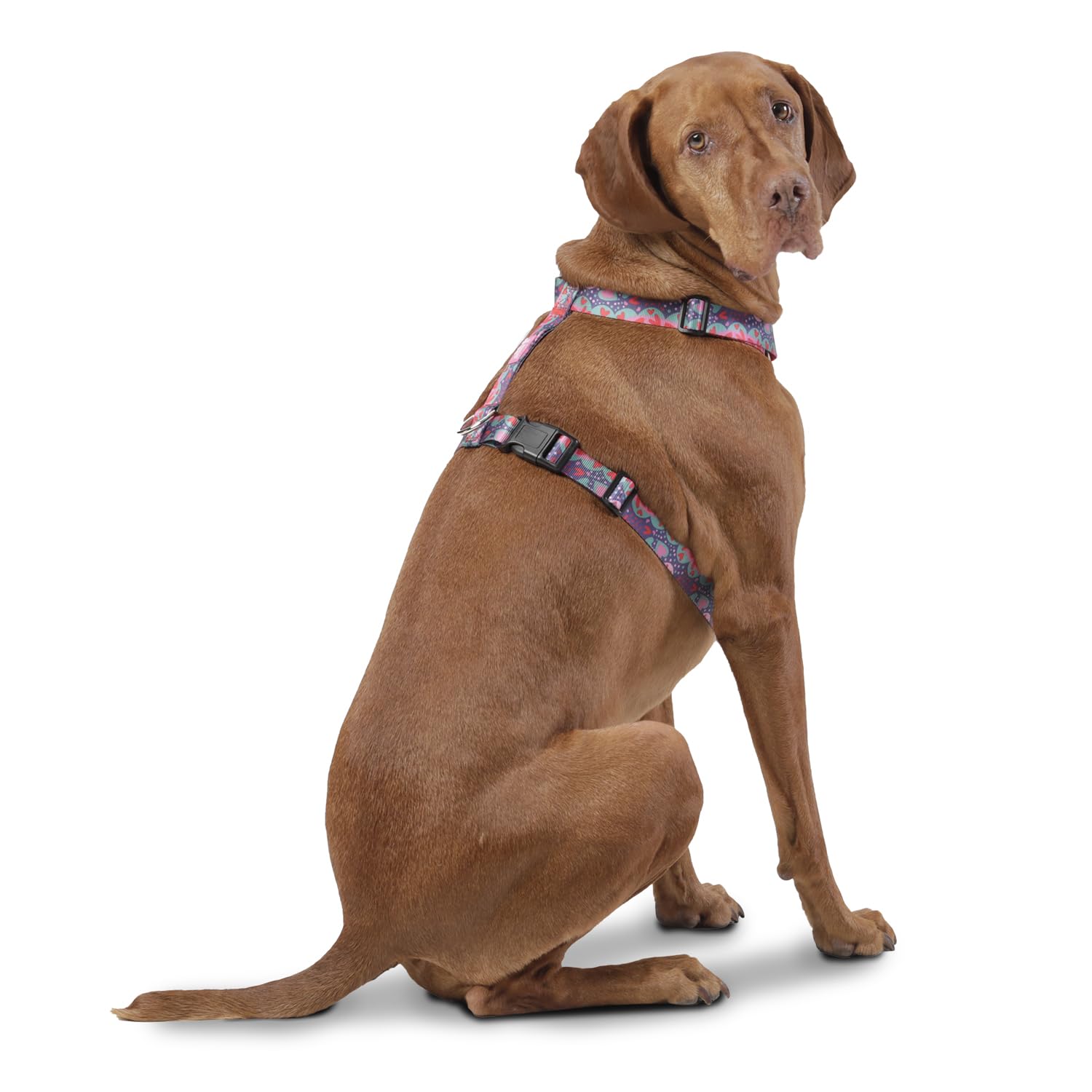 TOTTO, Large Dog Harness, Model Figgo, Size L, Dog Breastplate, Type H, Adjustable, Reduces Pressure in Trachea - Image 2