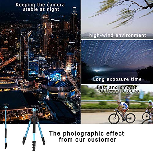 MACTREM Professional Camera Tripod with Phone Mount, 62" DSLR Tripod for Travel, Super Lightweight and Reliable Stability, Ball Head Tripod Detachable Monopod with Carry Bag (Blue)