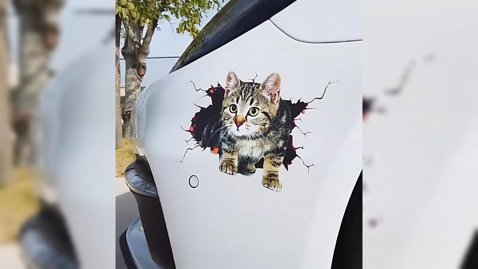 WADORN 5Pcs 3D Cat Car Stickers - Cute Vinyl Decals For Vehicles, Laptops & Windows