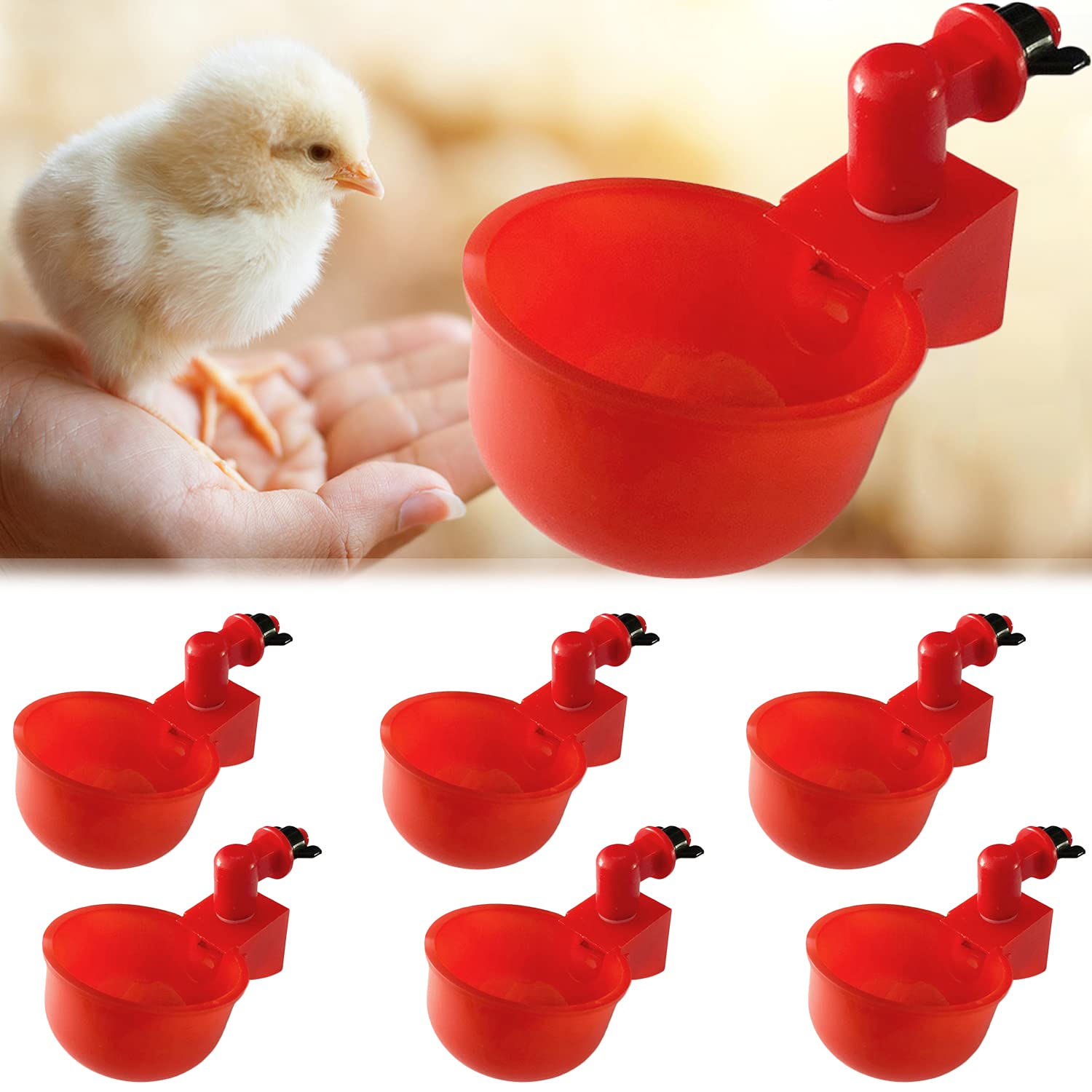 Buy 6 Pcs Automatic Chicken Waterer Cups, 3/8 Inch Thread Chicken Water
