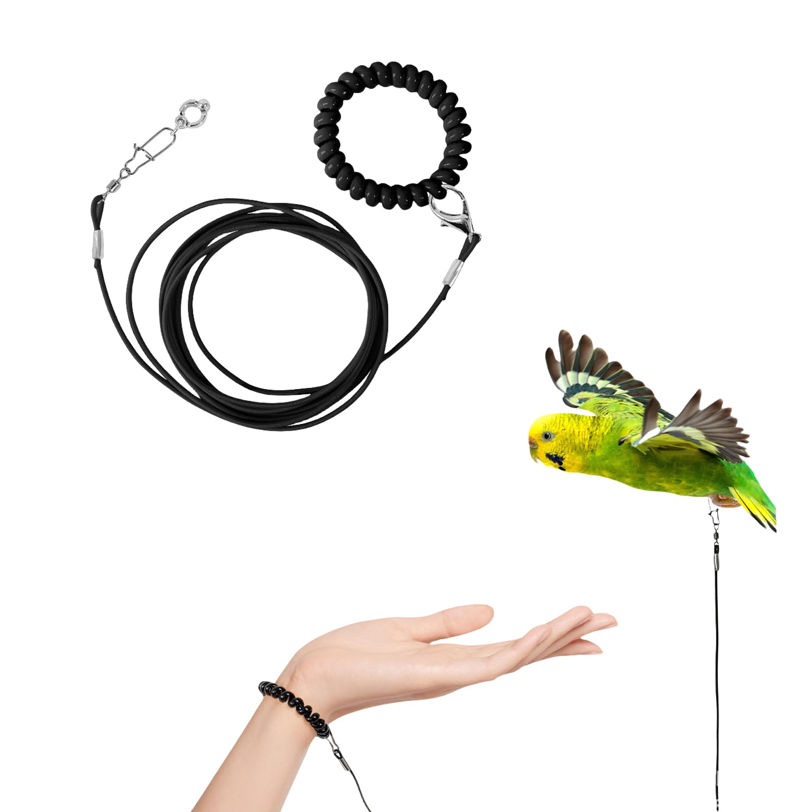 Amazon | 鳥 リード 鳥用ハーネス 鳥の飛行ロープ オウム