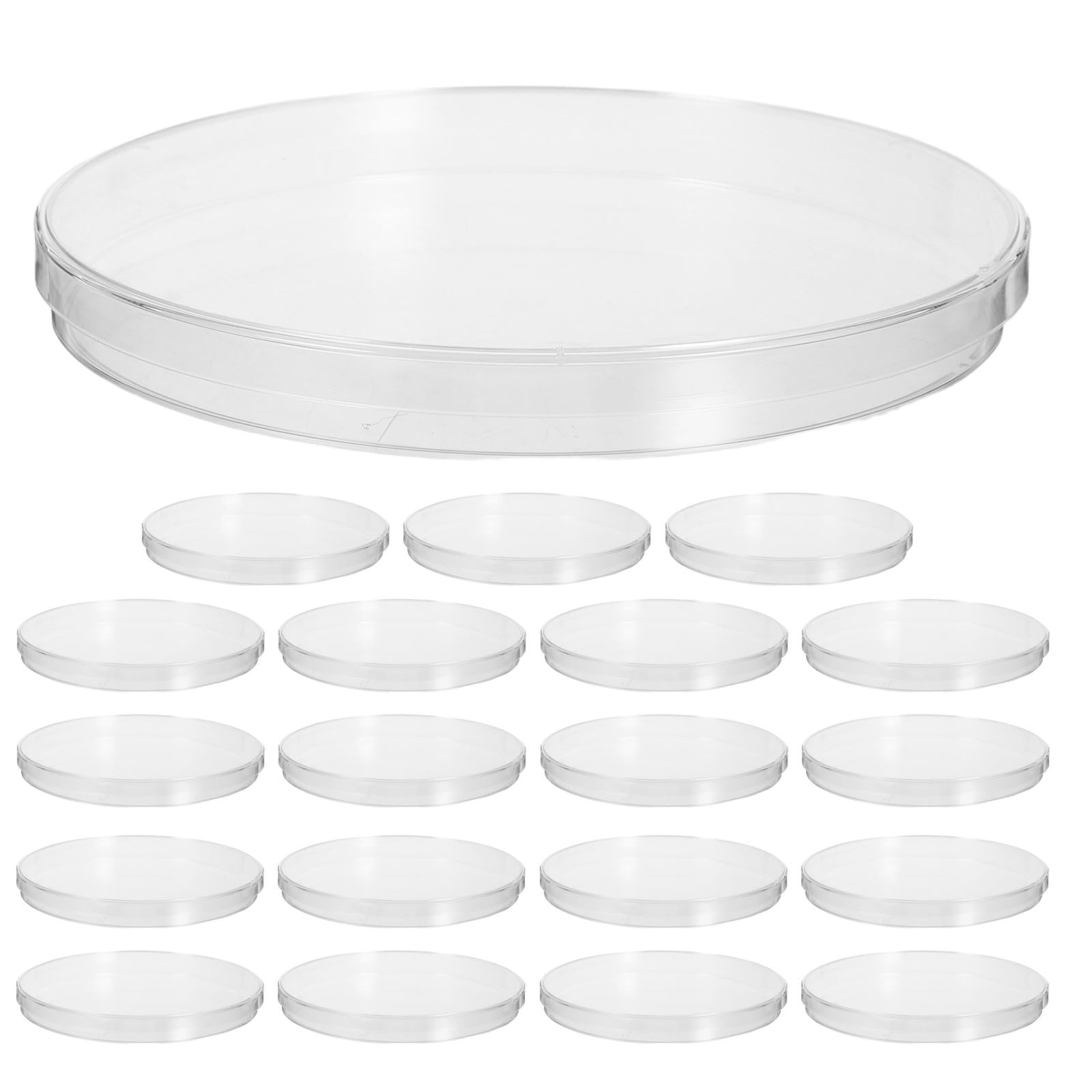 Kisangel Set di 20 piastre di Petri trasparenti con coperchio, 150 mm, in plastica, ideali per osservazioni microbiologiche e esperimenti scientifici in classe.
