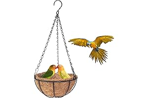 Parrot Swing - Natural Coir Bird Nest