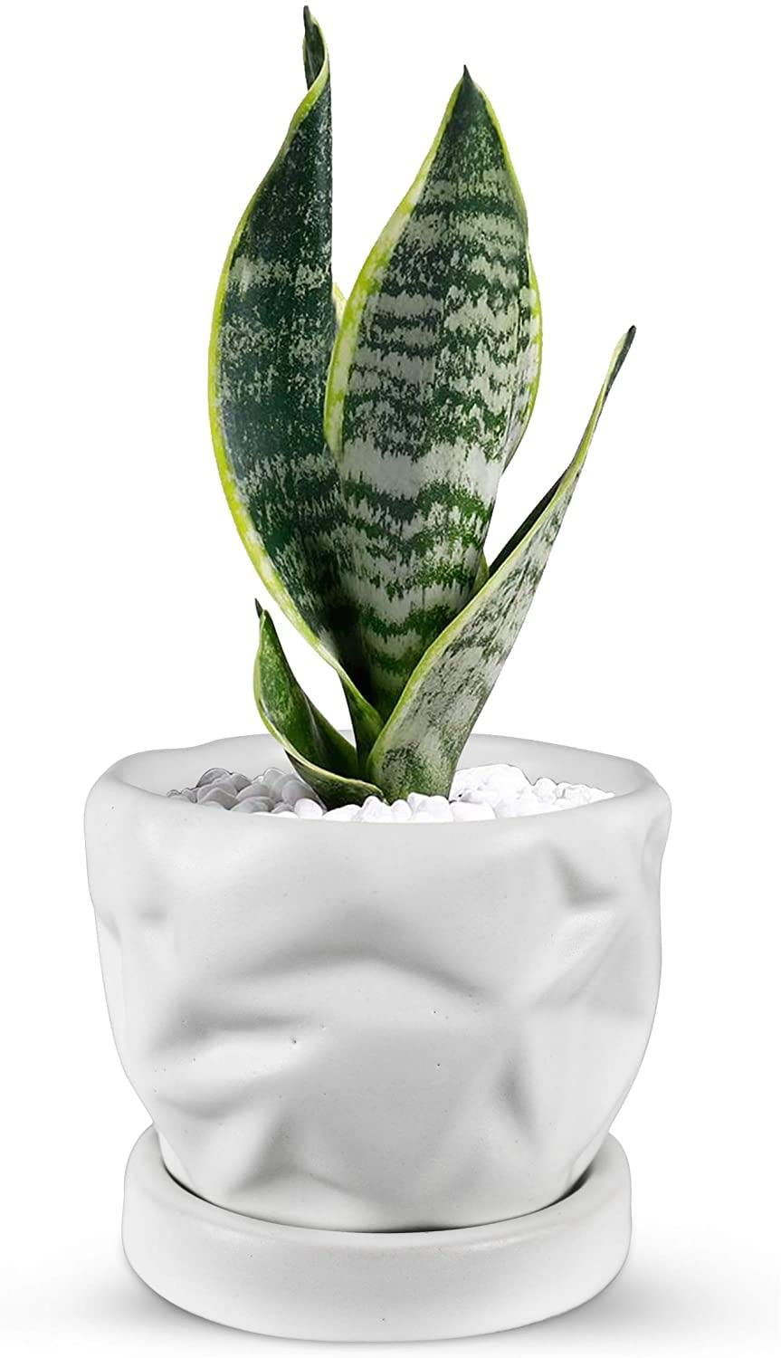 Elly Décor 2er-Set Keramik-Blumentöpfe Mit Untersetzer – Stylisch Für Sukkulenten & Deko