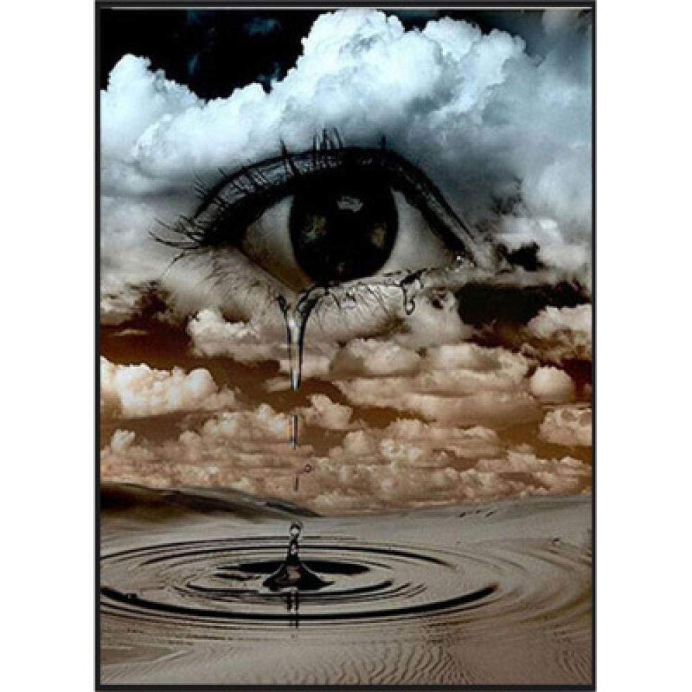 Peinture diamant 5D salon kit complet broderie mosaïque yeux tristes 40x50
