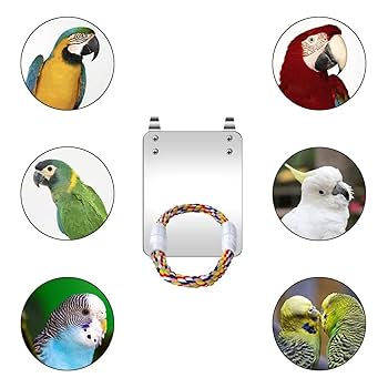 おかめインコ　とさか　ふわふわ　マトリョーシカ　インコ　鳥 インコのマトリョーシカ2を全4種類フルコンプしたので、大•中•小