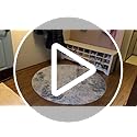 5ft Round Area Rug Living Room Rugs - 5x5 Washable Neutral Modern Abstract Soft Thin Rug Indoor Floor No Slip Rug Carpet for Bedroom Under Dining Table Home Office Decor - Golden Grey
