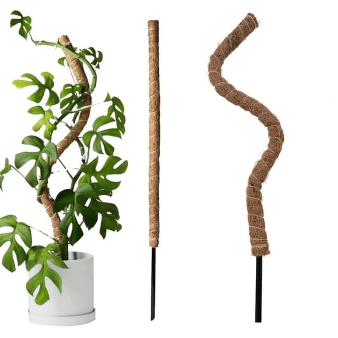 Garden Art Garden Art 24 Extendale Bendable Coir Pole | Stackable Moss Poles for Climbing Plants Indoor, Large Moss Pole Support, Garden Trellis Plant Stick (Pack of 2) (B0BV2Y8XNJ) Amazon Price History, Amazon Price Tracker