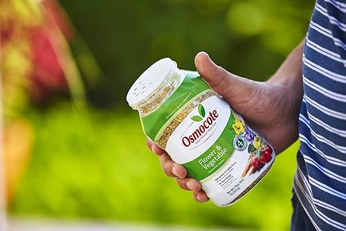 Miniatura 4 de Osmocote Smart-Release - Alimento para plantas para flores y verduras, fertilizante para plantas, 1 libra (paquete de 12)