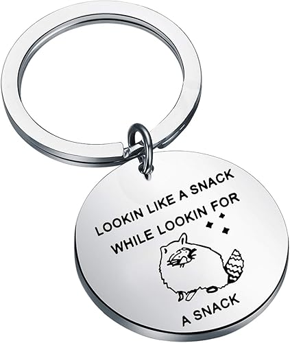 HOLLP Regalo de mapache de animales, regalo para amantes del mapache con aspecto de un aperitivo mientras busca un bocadillo, llavero protector de