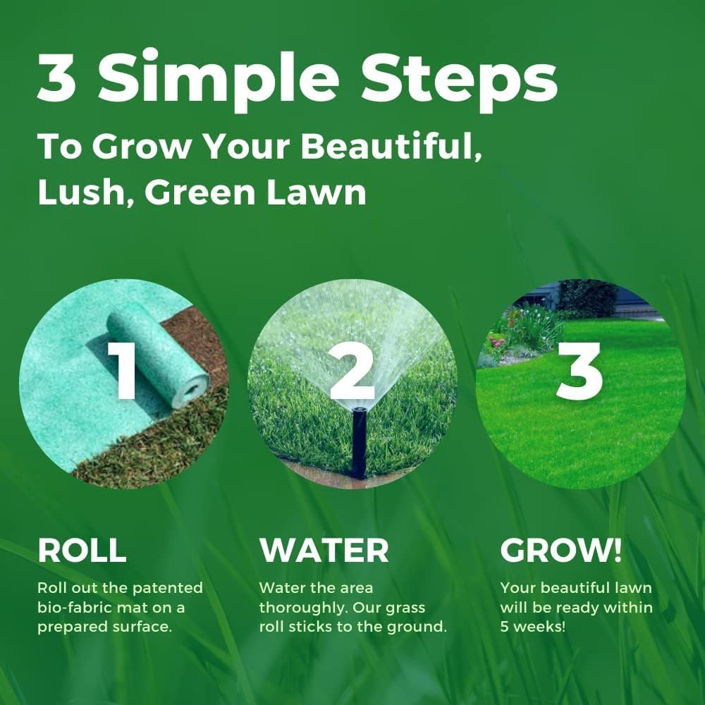 When is it the best time to plant grass seed