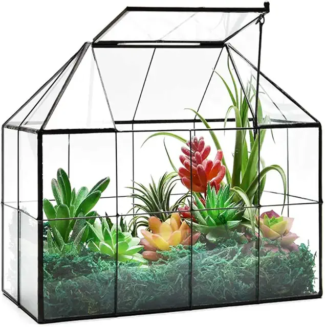 Large Geometric Glass Terrarium Container for Succulents and Plants