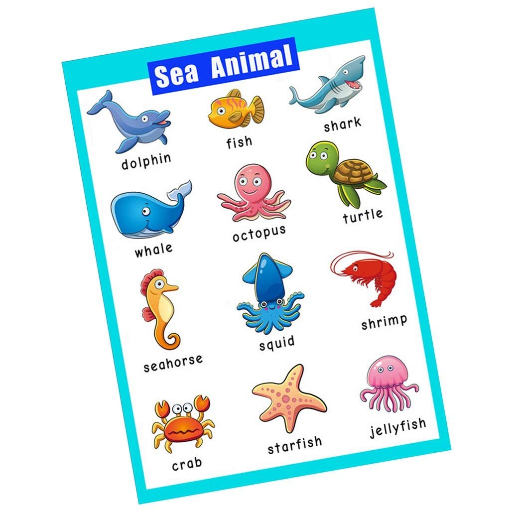 Buy SANCENT Educational Preschool s|Educational Wall Charts|School ...