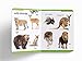 My First Padded Book of Animals: Early Learning Padded Board Books for Children
