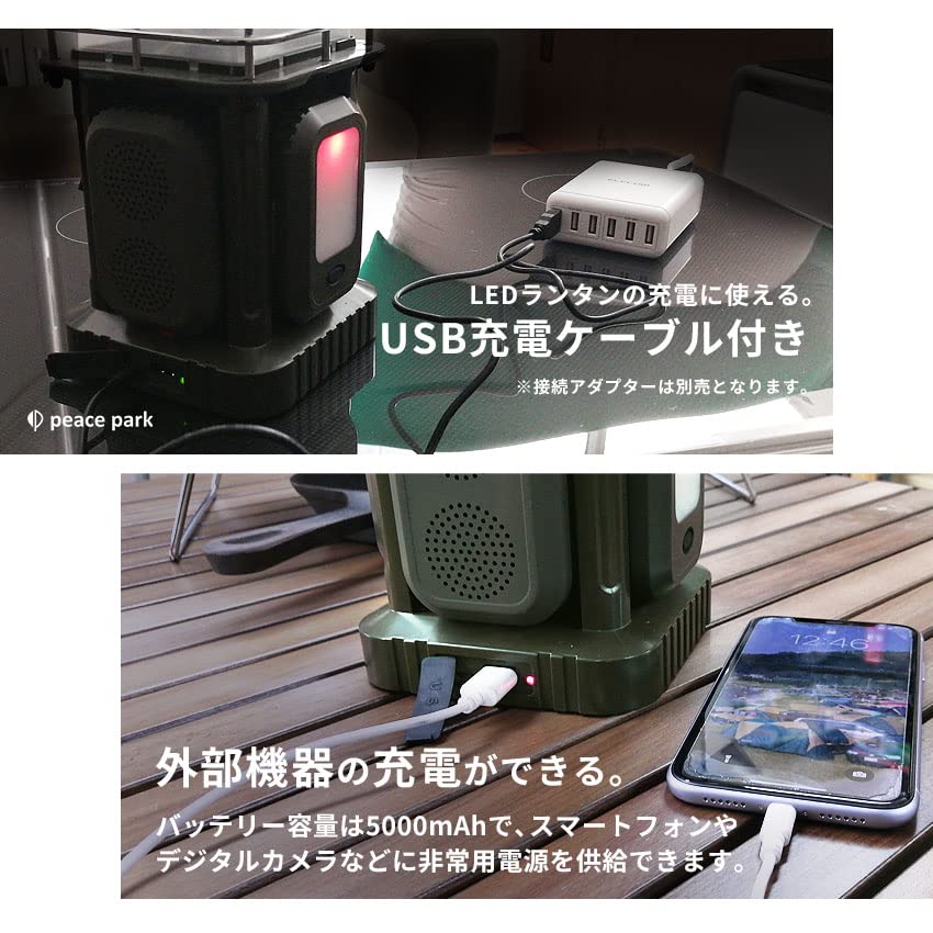 Amazon.co.jp: ピース パーク PEACE PARK スピーカー&ライト付き
