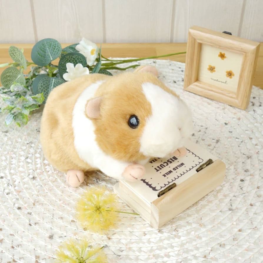 Amazon.co.jp: potte モルモット ぬいぐるみ : おもちゃ