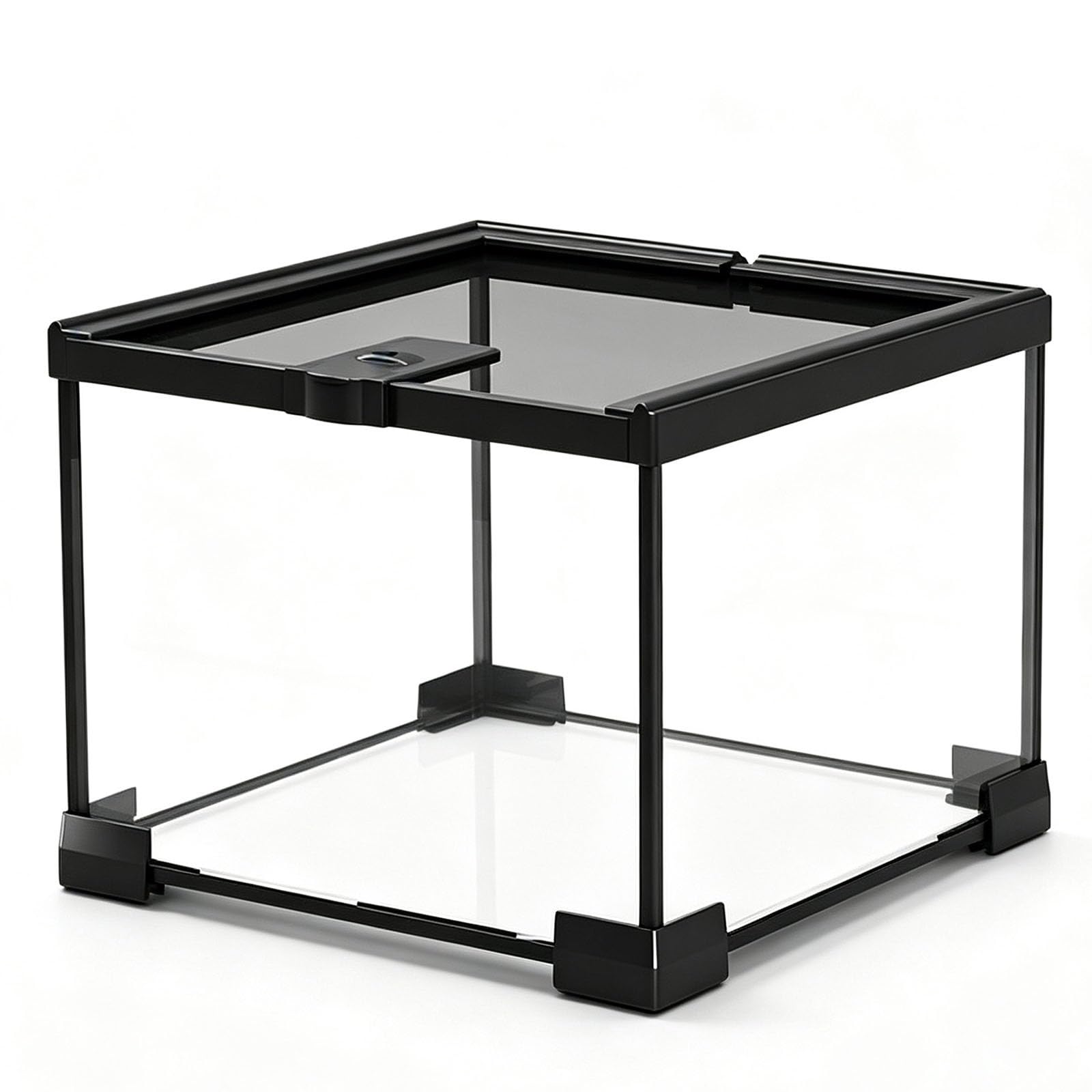 Terrario in Vetro per Rettili, Teca Trasparente con Coperchio Ventilato in Rete, Habitat Sicuro per Gecko, Lucertole, Serpenti, Ragni, Anfibi e Insetti(Small)