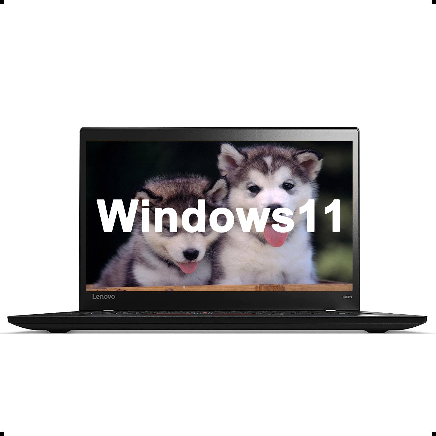 Amazon.com: Lenovo T460s ThinkPad Laptop Win 11, 14'' FHD (1920