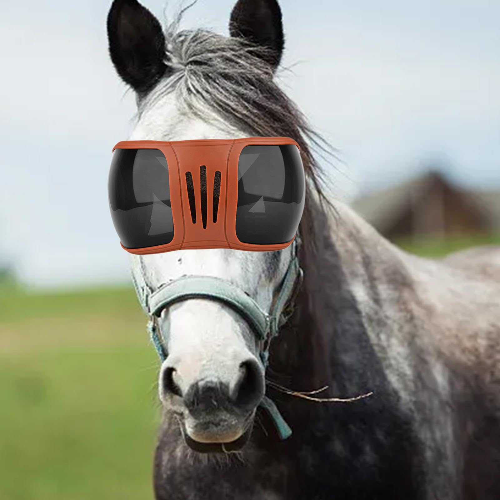 Gafas para Equitación Lentes Protectores para Caballo Prevención de Polvo Protección Solar Montura Ajustable Adecuado para Paseos al Aire Libre