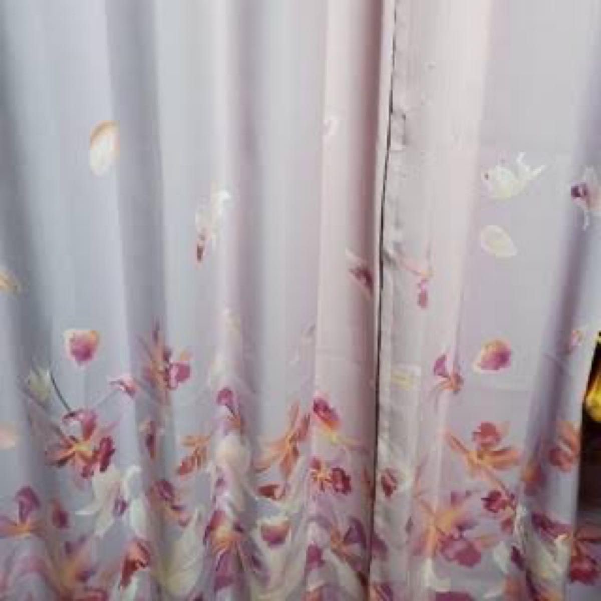 Rady レディのカーテン 100×135 Rady レディ カーテン エレフラ