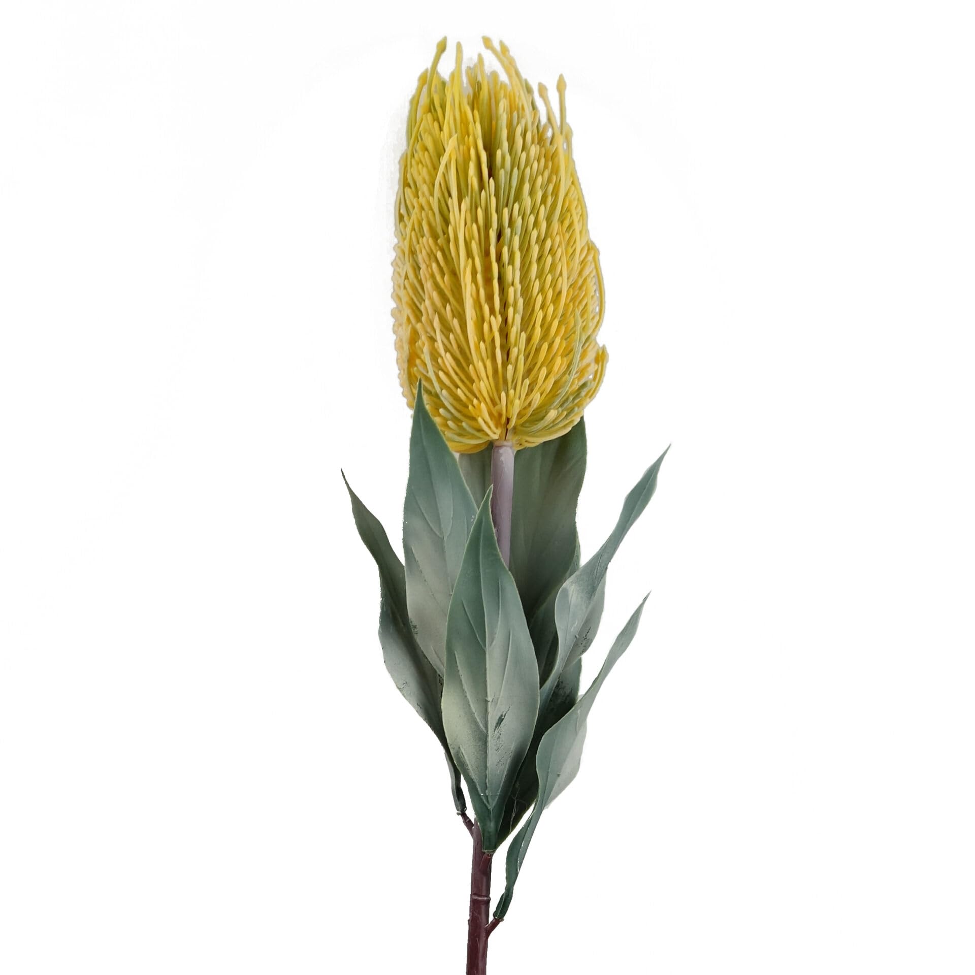 Leaf 75Cm Banksia Menziesii Yellow Flower Stem Artificial from B&Q