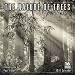 Nature of Trees 2016 Wall Calendar