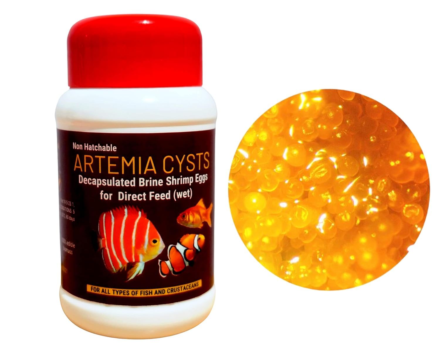 See full amazon price history chart for Non- Hatchable Decapsulated Artemia Cyst Ready to Feed,Decap Wet Brine Shrimp Eggs Protein Rich Direct Feed 100 Gram Non- Hatchable Decapsulated Artemia Cyst Ready to Feed,Decap Wet Brine Shrimp Eggs Protein Rich Direct Feed 100 Gram (B0CMVB5KW1) Amazon Price History, Amazon Price Tracker