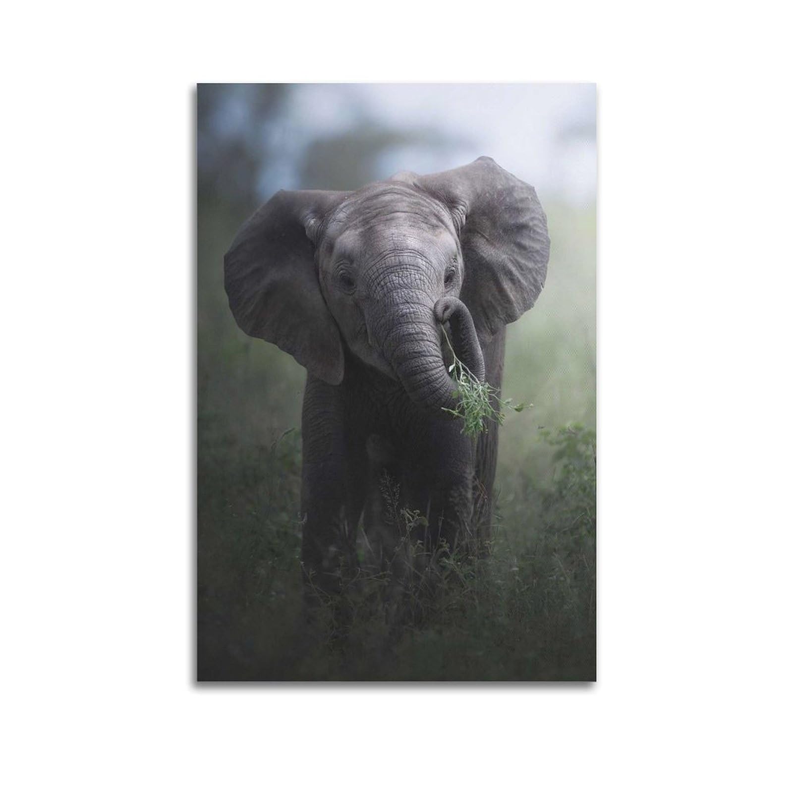 Xkuga Men's Unframe-Style African Grassland Poster Vintage Elephant Baby Habitat Modern Decorative Canvas Prints - Ideal Wall Art For Family, Man Cave, Game Room, Boys & Girls Bedroom 20X30inch(50X75cm)