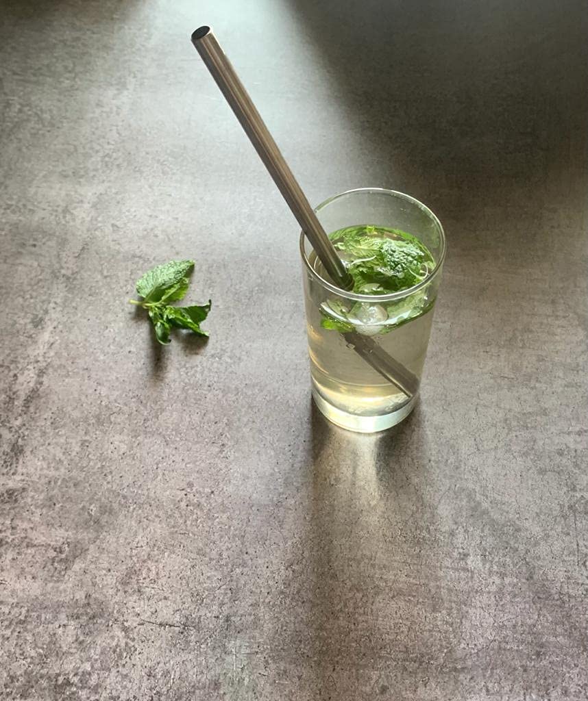 Earthist eco-Friendly Steel Straw and a Cleaning Brush - Pack of 2 (Cleaning Brush Included)