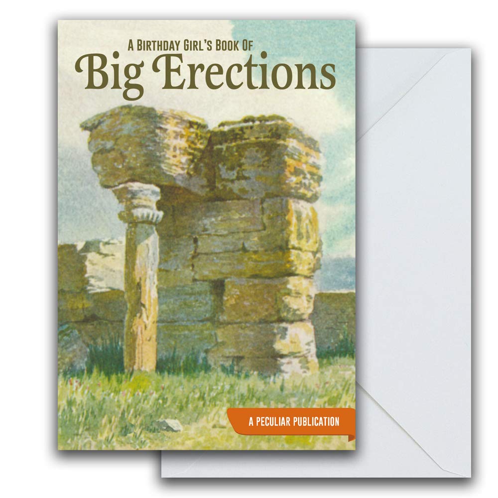 Emotional Rescue Funny and Rude Birthday Card, Innuendo Funny Birthday Card, 124mmx176mm, Multi, BTC009