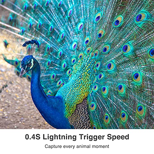 WingHome 630 Wildkamera,Trail-Kamera, Rehjagd Überwachungskamera, Zubehör mit Leica M6, 0,4s...