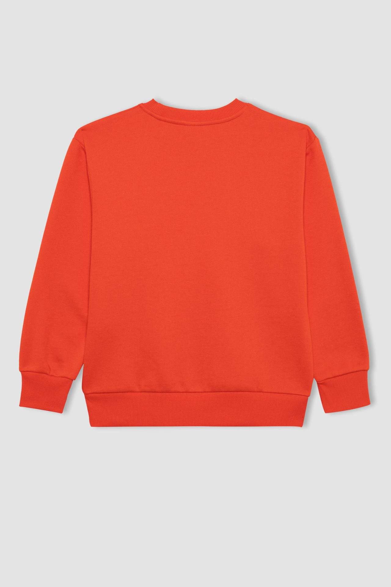 DeFacto Bluza sportowa Chłopcy B7772a8