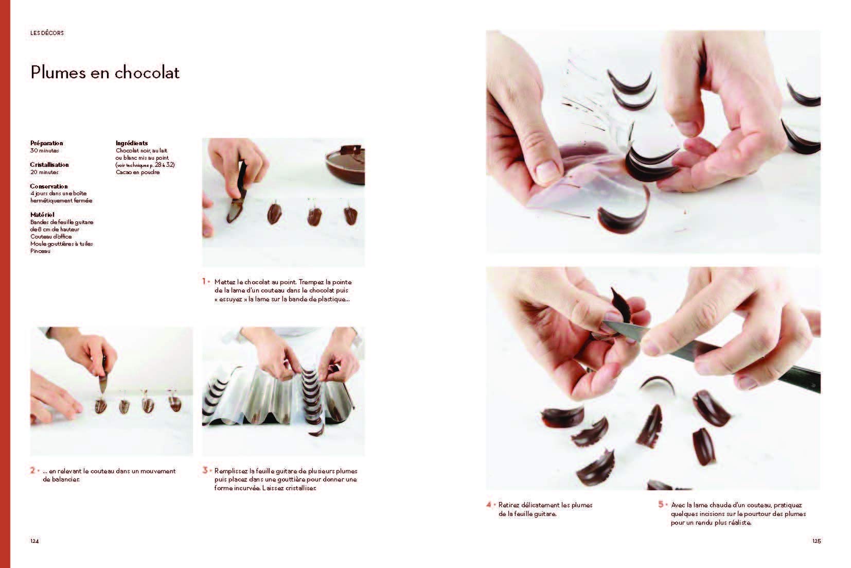 Chocolat: Recettes et techniques d'une école d'excellence