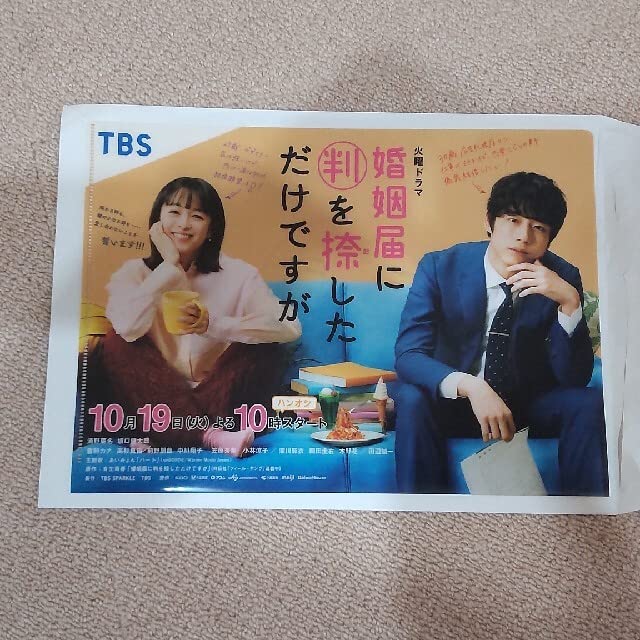 Amazon.co.jp: 婚姻届に判を捺しただけですが A4クリアファイル
