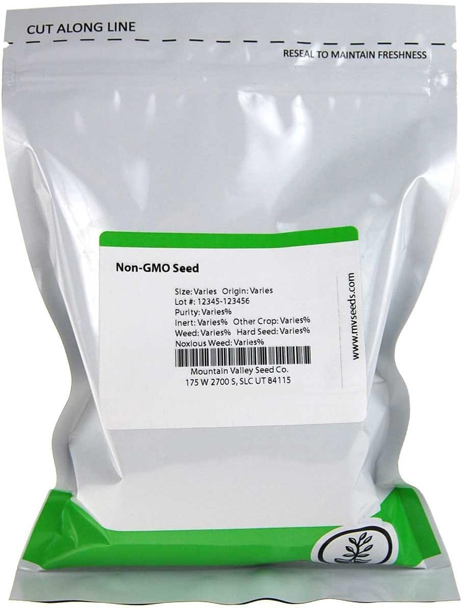 Red Acre Cabbage Microgreens & Sprouting Seeds – 1 Lb – Non-GMO, Chemical-Free – High-Germination Seeds for Nutritious Microgreens, Sprouts, Hydroponic Growing, and Indoor Gardening