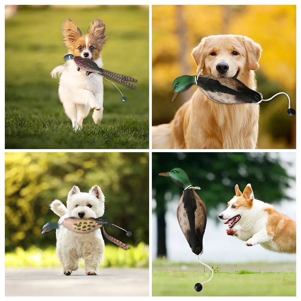 Dog Training Duck Dummy,Dog Or Field Puppy Training Dummies