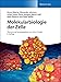 Produktbild Molekularbiologie der Zelle