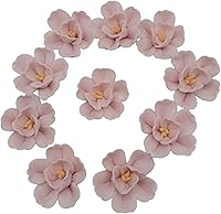 Vista 17 de Azulejos de mosaico de cerámica irregulares de color aleatorio de 1.1 lb, para hacer bricolaje, creativos, para platos de bricolaje, macetas